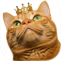 Cat Library icon